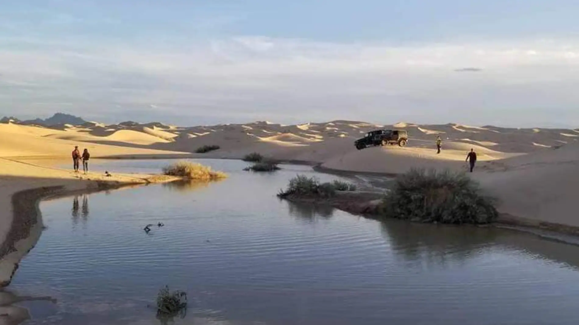 oasis dunas de samalayuca